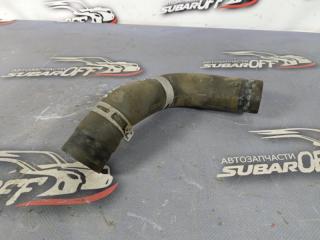 Патрубок радиатора Subaru Legacy 2008