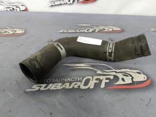 Патрубок радиатора Subaru Legacy 2007 контрактная Патрубок радиатора Subaru Legacy 2007