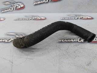 Запчасть патрубок радиатора Nissan Juke 2012