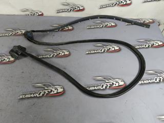 Уплотнительная резинка боковой двери задняя левая Subaru Forester 2006