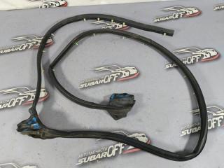 Уплотнительная резинка боковой двери задняя левая Subaru Forester 2005