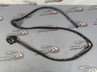 Уплотнительная резинка боковой двери задняя левая Subaru Forester 2006