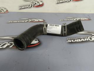 Патрубок радиатора Subaru Forester 2008