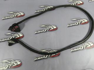 Уплотнительная резинка боковой двери передняя левая Subaru Legacy 2008 контрактная Уплотнительная резинка боковой двери передняя левая Subaru Legacy 2008