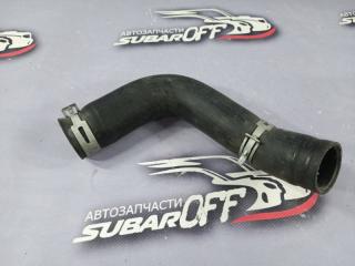 Патрубок радиатора Legacy 2006 BP5 EJ20Y
