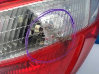 Фонарь правый qashqai 2006-2013 J10 Фонарь правый qashqai 2006-2013 J10