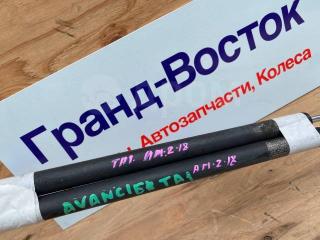 Амортизатор двери задний Avancier TA1 Амортизатор двери задний Avancier TA1