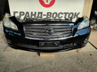 Nose cut Nissan Fuga 2010