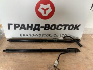 Амортизатор двери багажника Nissan X-Trail 2016