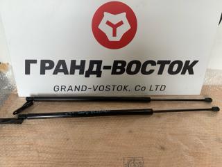 Амортизатор двери багажника Nissan Elgrand 2005