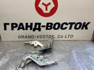 Запчасть петля капота Lexus IS250 2011