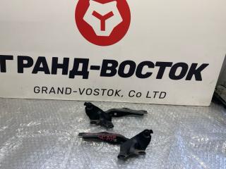 Петля капота Mazda RX-8 2004