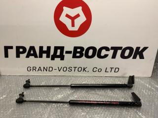 Амортизатор двери багажника Mitsubishi Outlander 2006 Б/У Амортизатор двери багажника Mitsubishi Outlander 2006