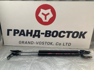 Запчасть амортизатор двери багажника Toyota Gaia 2003