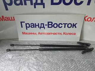 Запчасть амортизатор двери багажника BMW X3 2012