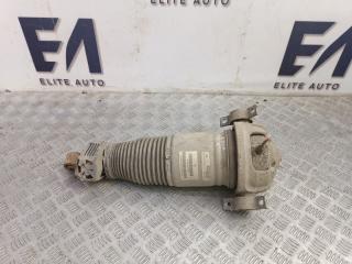 Стойка амортизатора пневмо задняя левая Porsche Cayenne 2004 Б/У Стойка амортизатора пневмо задняя левая Porsche Cayenne 2004