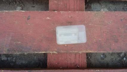 Запчасть плафон подсветки багажника Fiat Albea 2002-2012