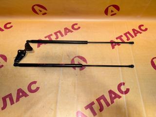 Амортизатор багажника NISSAN Juke 2010