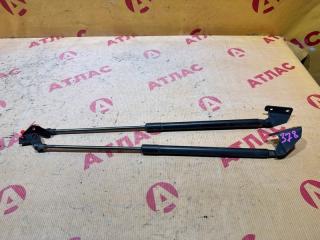 Амортизатор двери багажника NISSAN Dualis 2008