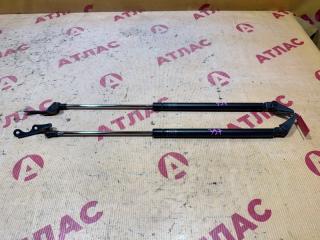 Амортизатор двери багажника TOYOTA Vitz 2003