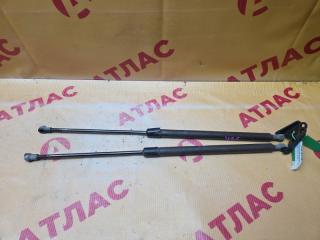 Амортизатор двери багажника NISSAN X-Trail 2003