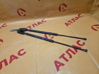 Амортизатор двери багажника NISSAN Dualis 2009