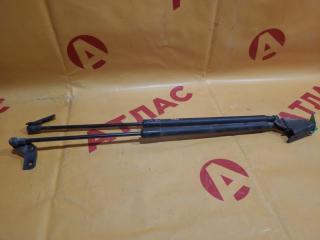 Амортизатор двери багажника NISSAN Dualis 2008