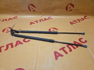 Амортизатор двери багажника NISSAN X-Trail 2008