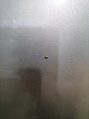 Капот GT 2003-2010 937 932 A2.000