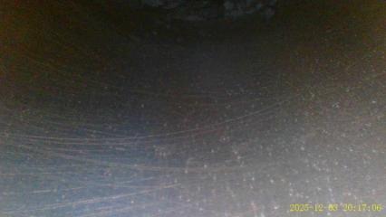 Двигатель Bluebird Sylphy 2001 G10 QG18DE