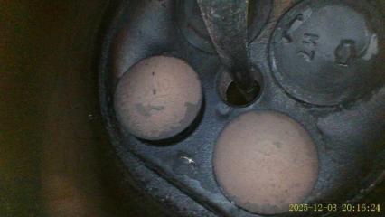 Двигатель Bluebird Sylphy 2001 G10 QG18DE