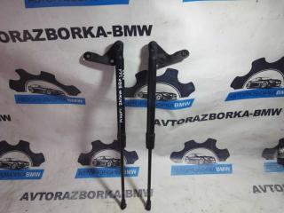 Амортизатор багажника BMW 1 2008