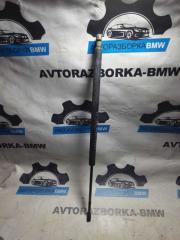 Амортизатор багажника BMW X5 2003