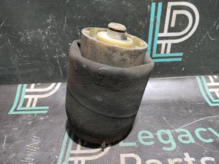 Пневмобаллон задний левый BMW X5 2004