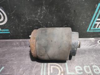 Пневмобаллон задний правый BMW X5 2004