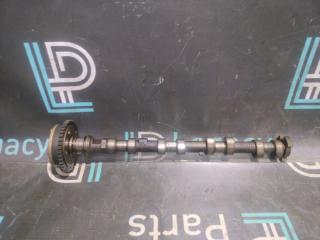 Распредвал впускной правый BMW X5 2004 контрактная Распредвал впускной правый BMW X5 2004