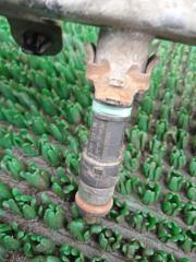 Запчасть форсунка топливная Nissan X-Trail