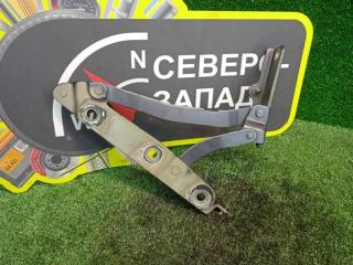 Петля багажника правая Nissan Teana 2011 Б/У Петля багажника правая Nissan Teana 2011