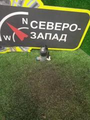 Фото запчасти насос омывателя Nissan Terrano 2017 Б/У запчасть Запчасть насос омывателя Nissan Terrano 2017