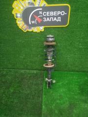 Амортизатор передний Nissan Terrano 2017 Б/У Амортизатор передний Nissan Terrano 2017