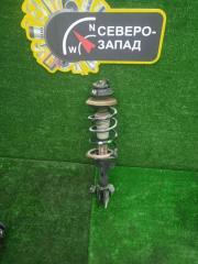 Амортизатор передний Nissan Terrano 2017 Б/У Амортизатор передний Nissan Terrano 2017