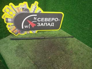 Фото запчасти амортизатор капота Nissan Terrano 2017 Б/У запчасть Запчасть амортизатор капота Nissan Terrano 2017