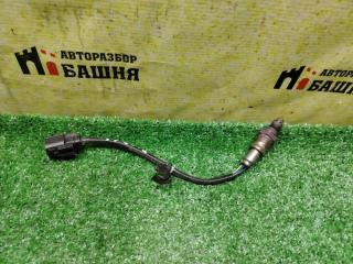 Запчасть датчик кислородный задний TANK 500 2024