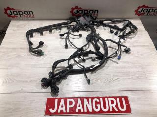 Проводка ДВС honda accord 2011 контрактная Проводка ДВС honda accord 2011