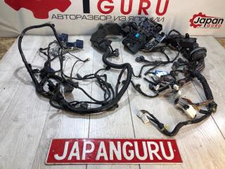 Проводка ноуската Mazda 6 2009 контрактная Проводка ноуската Mazda 6 2009