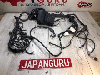 Проводка ноуската nissan xtrail 2012 контрактная Проводка ноуската nissan xtrail 2012