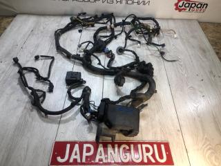 Проводка ноуската Suzuki Sx4 2009