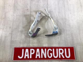 Петля капота honda accord 2010