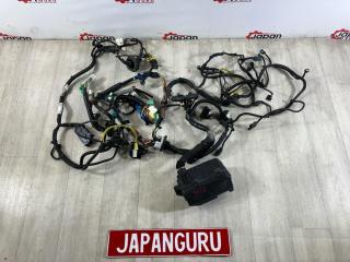 Проводка ноуската honda accord 2010 контрактная Проводка ноуската honda accord 2010