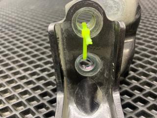 Петля двери задняя левая Santa Fe 2019 TM D4HB